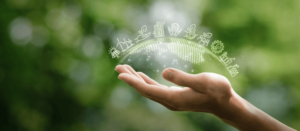 Nueva ISO 14001: cómo será la transición